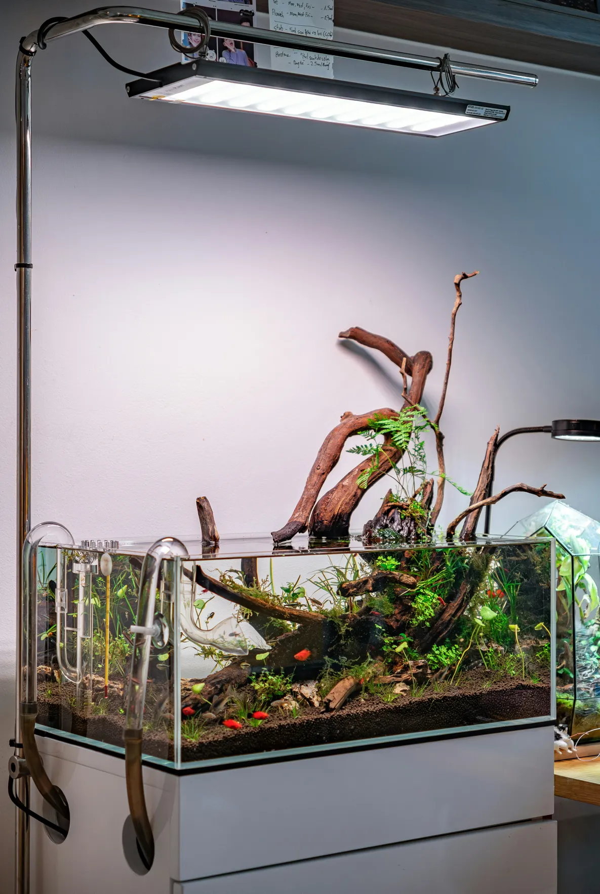 Rimless planted aquascape beneath mounted lighting.