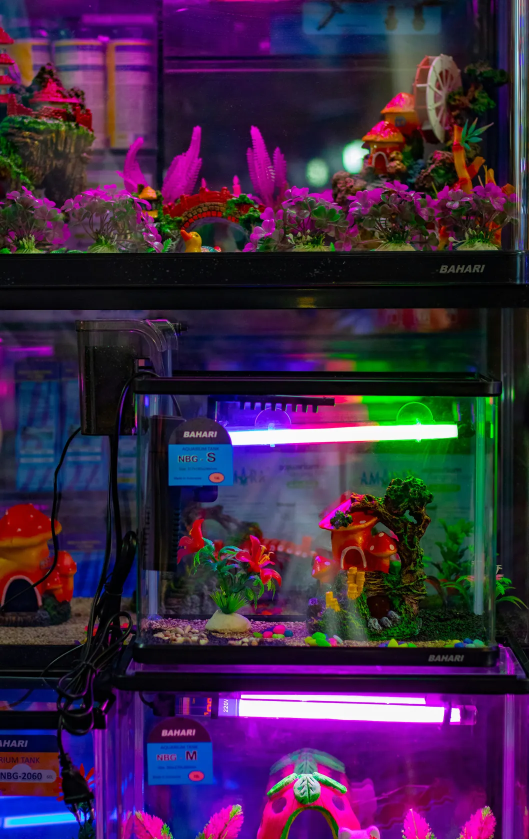 Multiple illuminated aquarium displays in an interior setting.